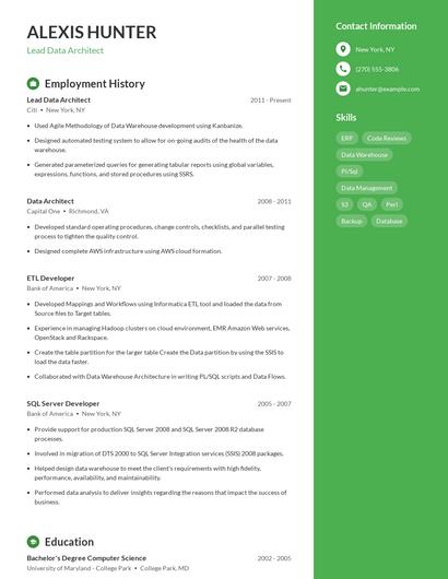 Lead Data Architect Resume