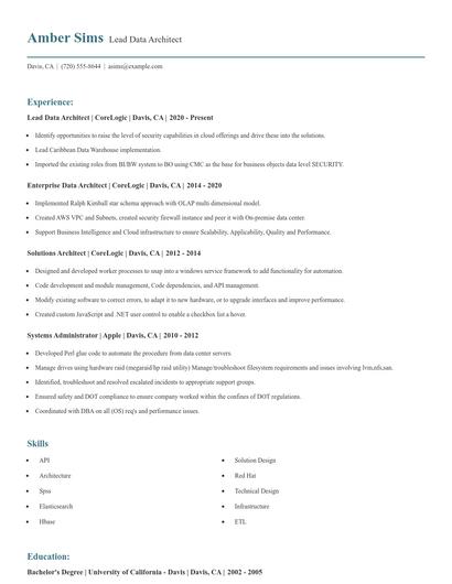 Lead Data Architect Resume