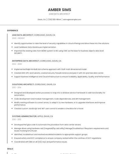 Lead Data Architect Resume