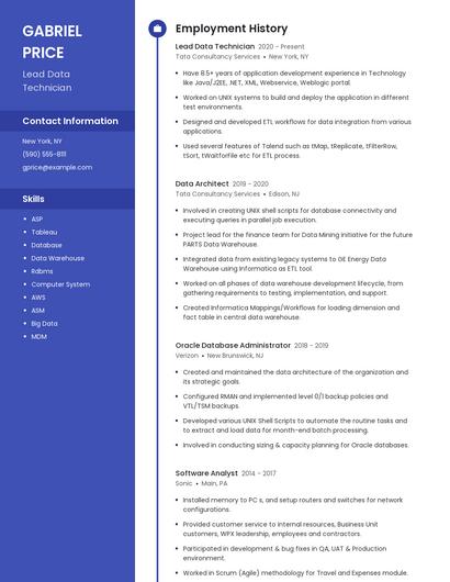 Lead Data Technician Resume