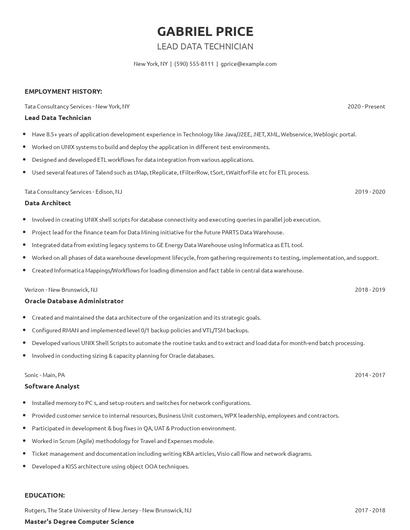 Lead Data Technician Resume