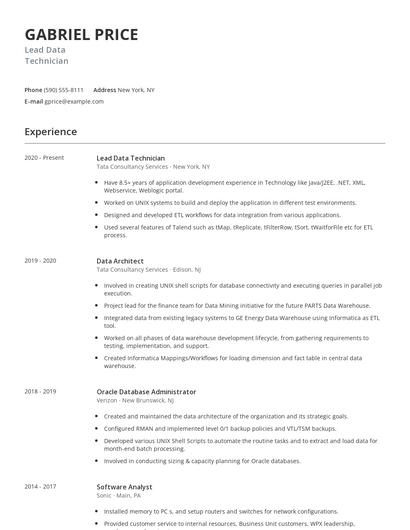 Lead Data Technician Resume