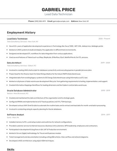 Lead Data Technician Resume