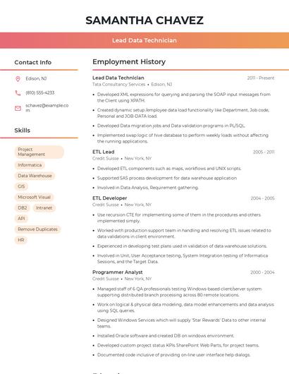 Lead Data Technician Resume