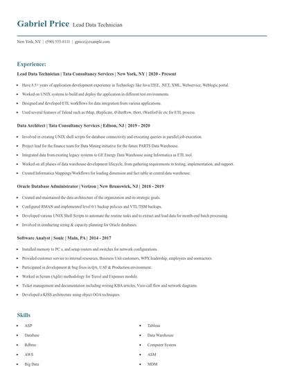 Lead Data Technician Resume