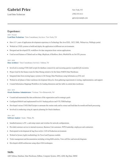Lead Data Technician Resume