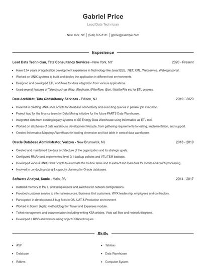 Lead Data Technician Resume