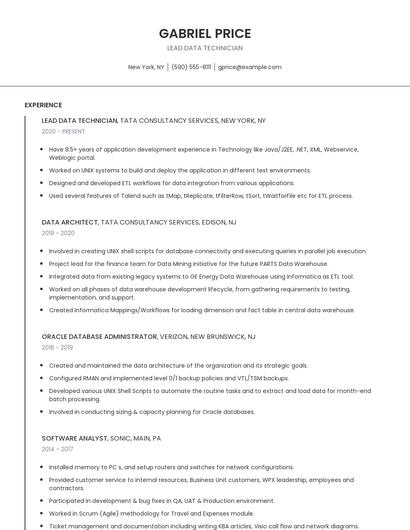 Lead Data Technician Resume
