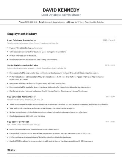 Resume example 2