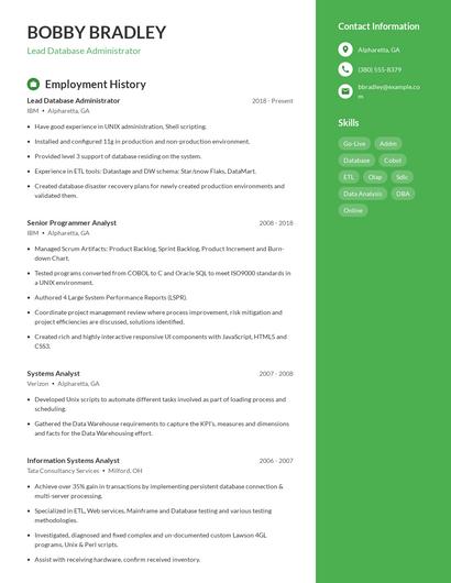 Resume example 4