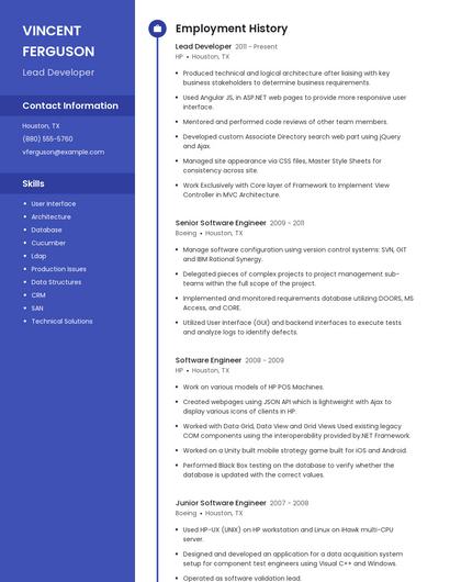 Resume example 4