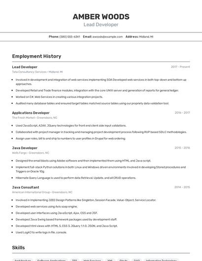 Resume example 2