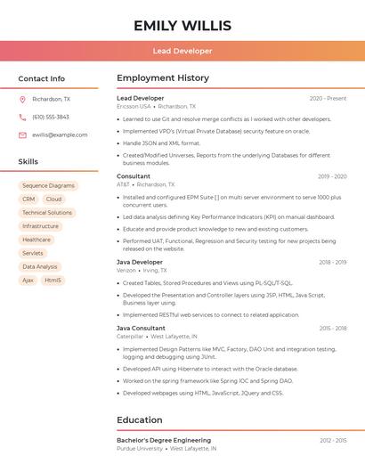 Resume example 3
