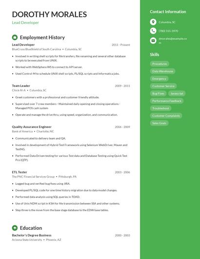 Resume example 5