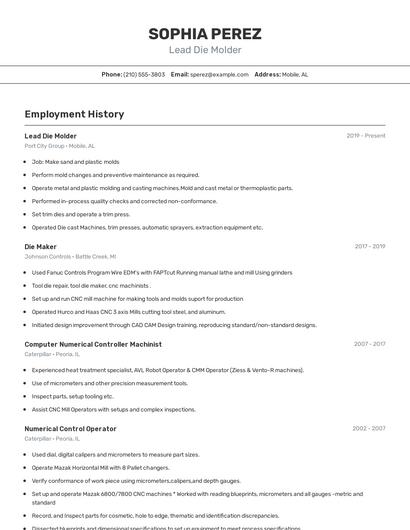 Lead Die Molder Resume