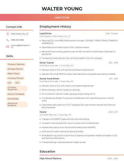 Lead Driver Resume