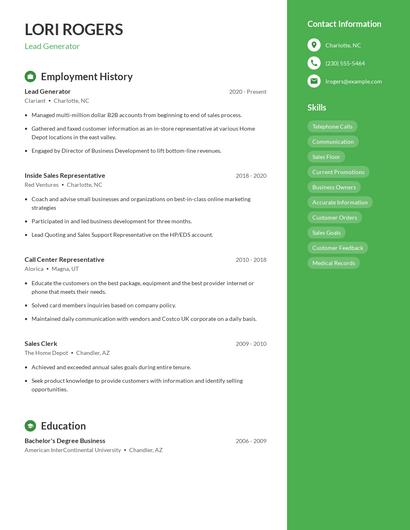 Resume example 4