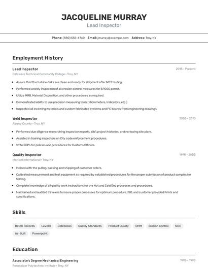 Resume example 2