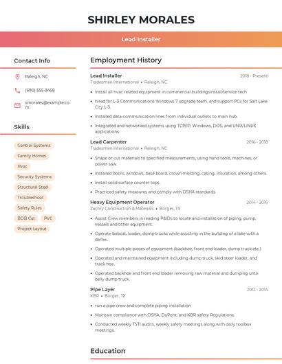 Resume example 3