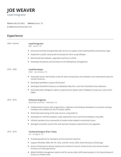 Lead Integrator Resume