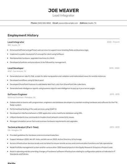 Lead Integrator Resume