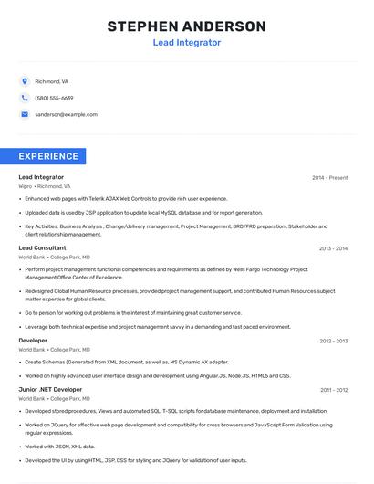 Lead Integrator Resume