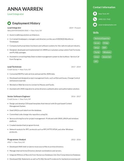 Lead Integrator Resume