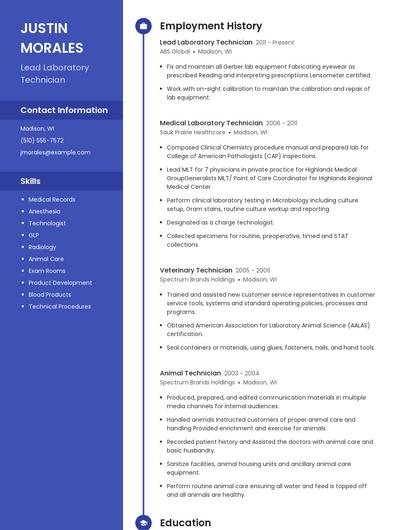 Resume example 5