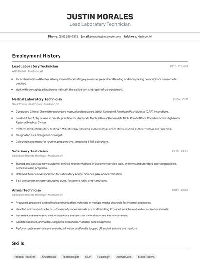 Resume example 2