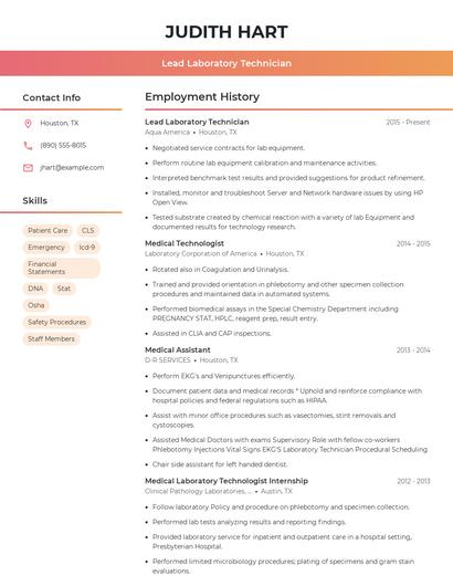 Resume example 3