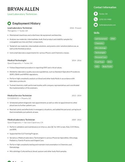 Resume example 4
