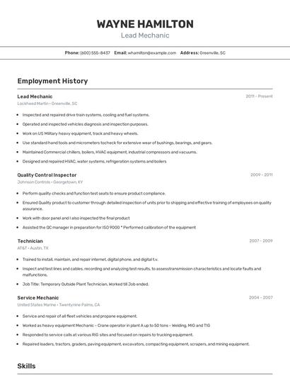 Resume example 2