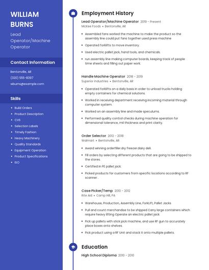 Resume example 4