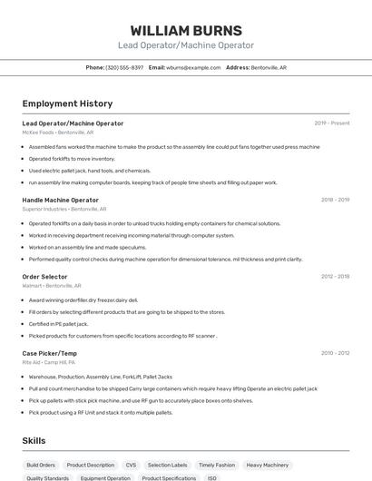 Resume example 2
