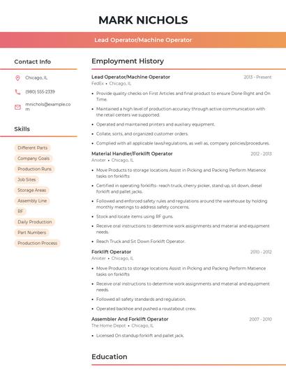 Resume example 3