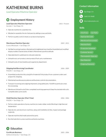 Resume example 5