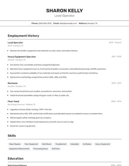 Resume example 2
