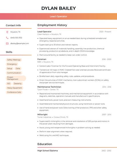 Resume example 3