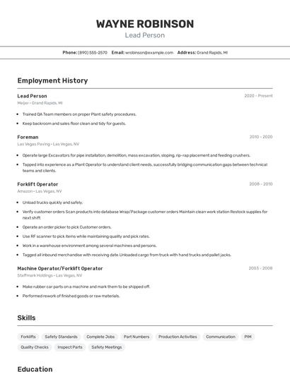 Resume example 2