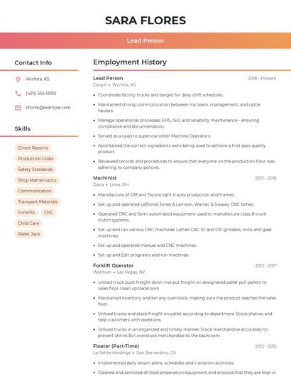 Resume example 3