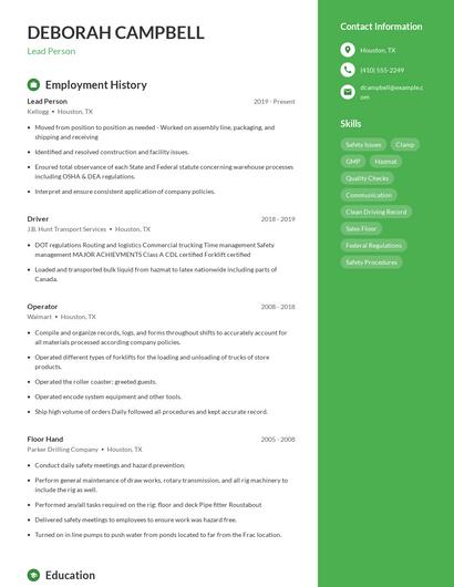 Resume example 4