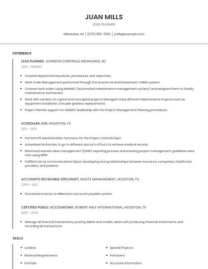 Lead Planner Resume