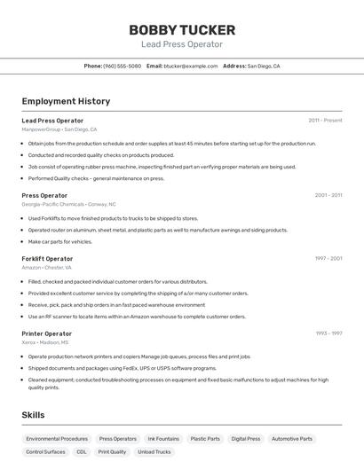 Resume example 2