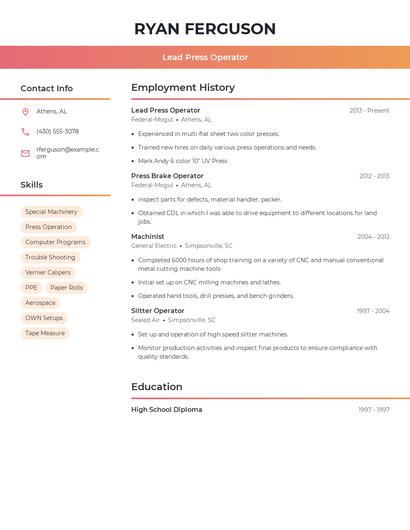 Resume example 3