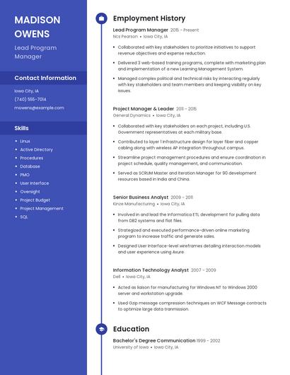 Resume example 5