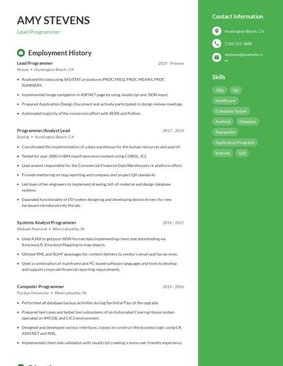 Resume example 5