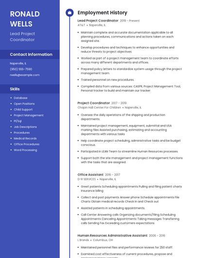 Resume example 5