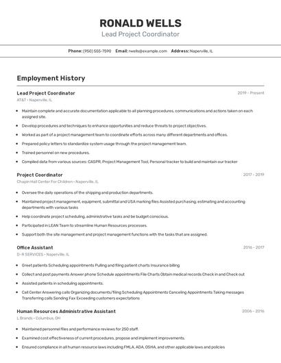 Resume example 2