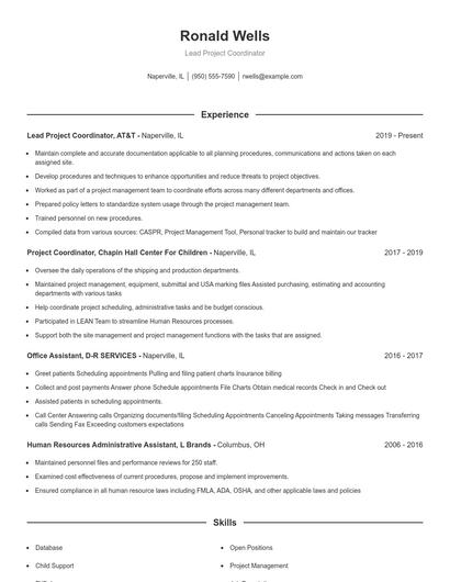 Resume example 1