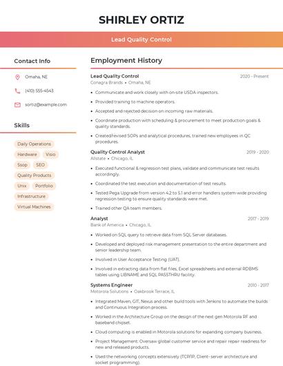 Resume example 3
